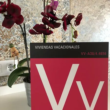 Vivienda Del Sol * 滨海帕尔姆